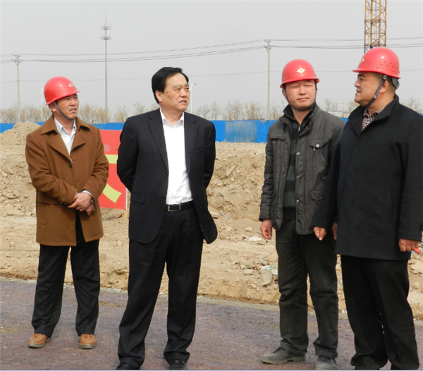 聊城经济技术开发区党工委书记、管委会主任杨广平视察新能源产业园